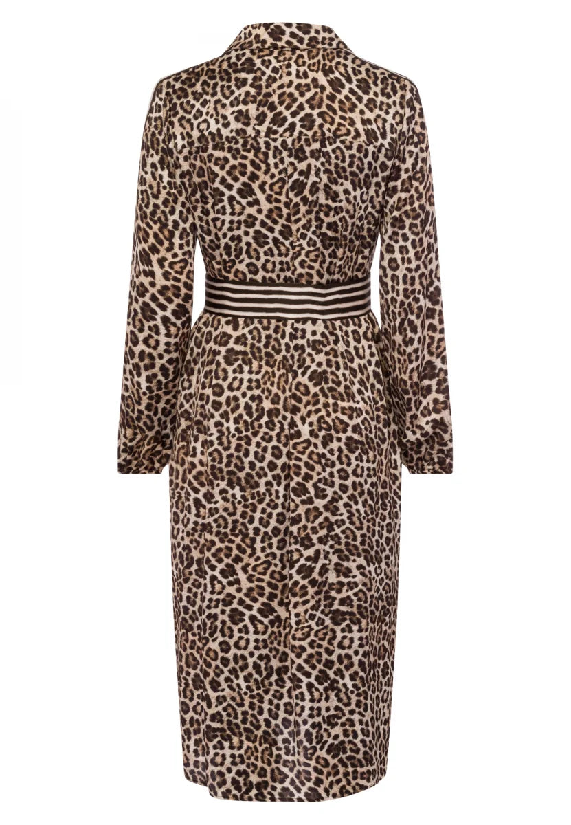 Leopard Print and Stripes Dress