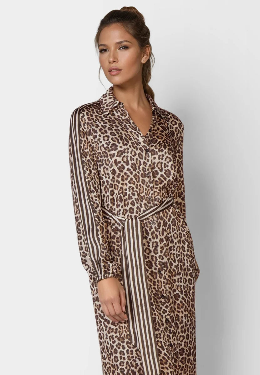 Leopard Print and Stripes Dress