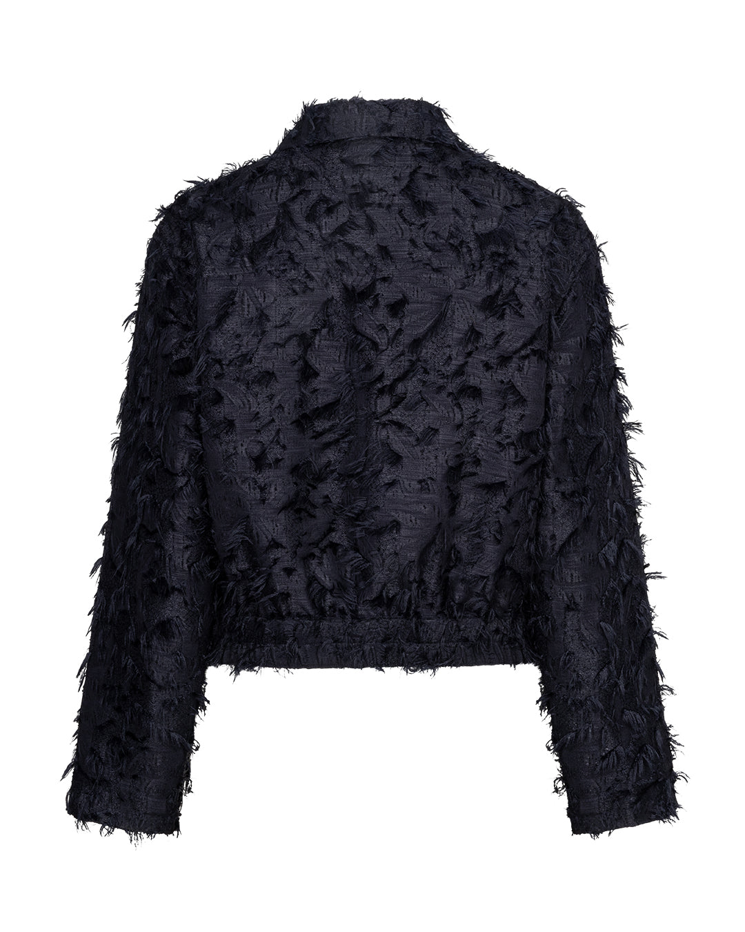 Bomber fringes Navy