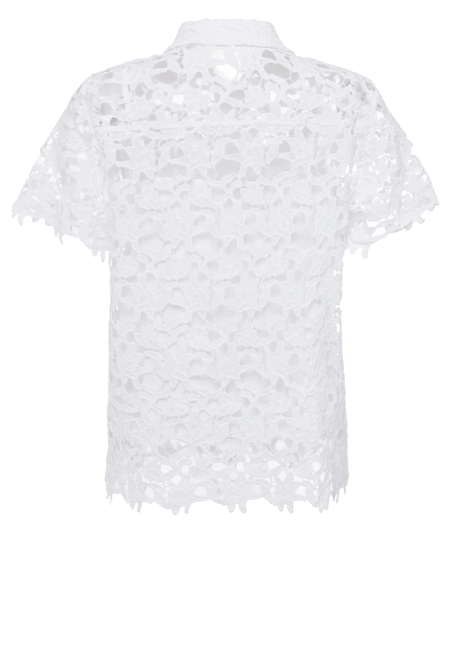 Eye catching lace blouse in white