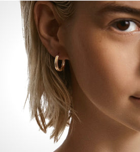 ANNA BECK CLASSIC SMALL HINGE HOOPS